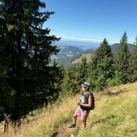 Nid d'aigle sur les hauts de Lausanne