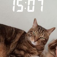La chambre privée de Patricia