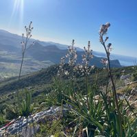 Villa d'exception en Corse – Vue mer & montagne, piscine, jardin paysager en toute intimité