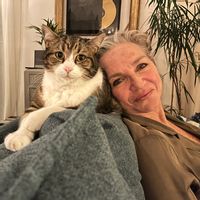 La maison de Céline et de bidule le chat est petite mais conviviale, fonctionnelle et chaleureuse.