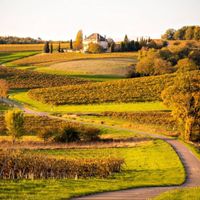 La maison de Jean-Marie est un endroit spacieux dans un écrin de verdure.