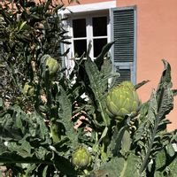 La maison de Cyra