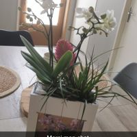 La maison de Jennifer Maison au calme dans un village