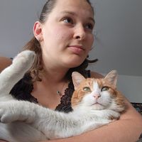 Appart de Carla