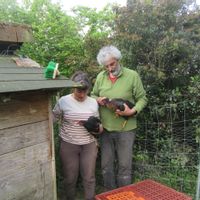 ferme gasconne en pleine nature dans le Gers