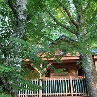 Cabane Petit Bois