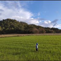 La maison de Jess & Thibault- Provence- Sud Luberon