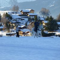 Chalet à la montagne, val d’hérens, Nax, Suisse