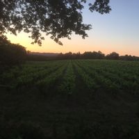 Dépaysement dans le Morbihan