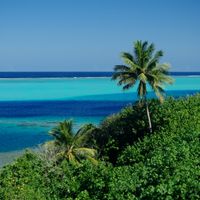 My "Indian ocean dream" sur l'île de Rodrigues