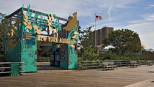 7. NY Aquarium2