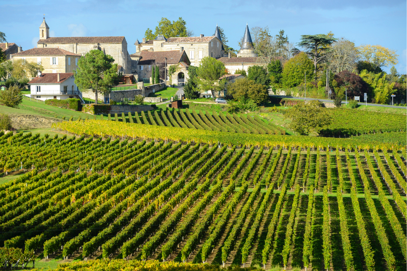 Decouvrir-Bordeaux-autour-du-vin