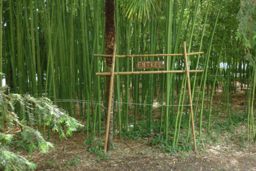 Que faire dans le Gers en famille labyrinthe des bambous
