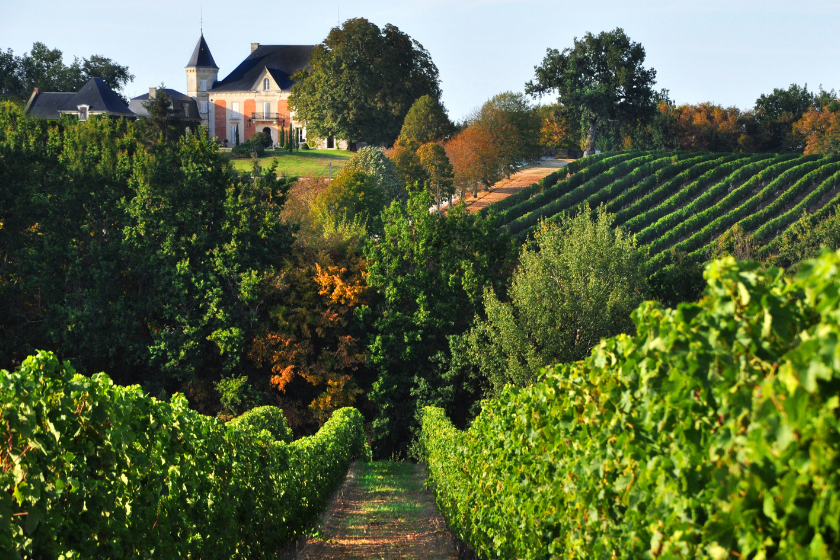 Que faire en Bourgogne-vignobles en Bourgogne