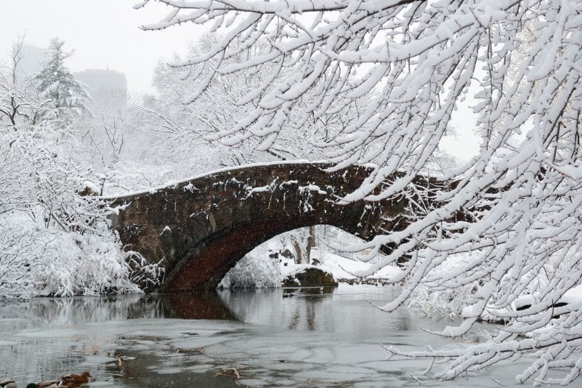 Promenade à Central Park en hiver. Le pont est tout enneigé